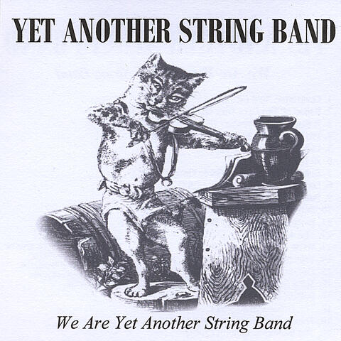 We Are Yet Another String Band