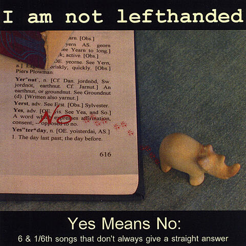 Yes Means No
