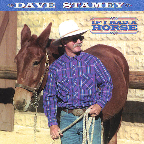 Dave Stamey