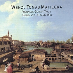 Allegro Moderato - Grand Trio Matiegka