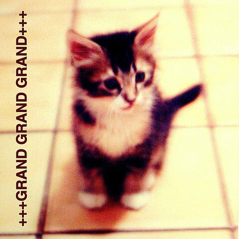 Assorted Years Assembled: Best Of, Vol. 1 (1998-2008)