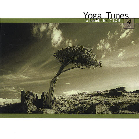 Yoga Tunes Volume II