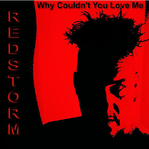 Why Couldn't You Love Me - Single