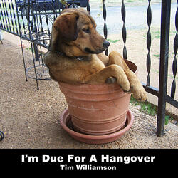 I'm Due For A Hangover