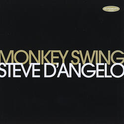 Monkey Swing
