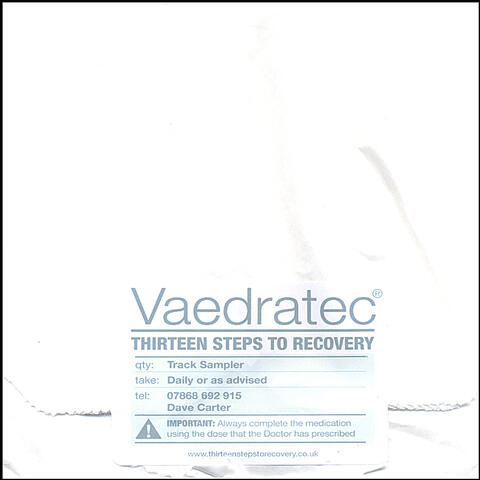 Thirteen Steps to Recovery