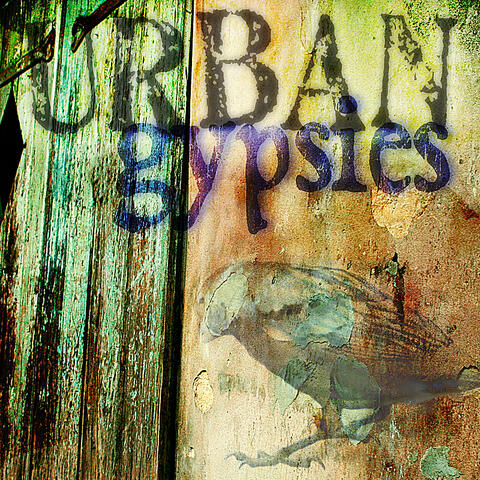 Urban Gypsies