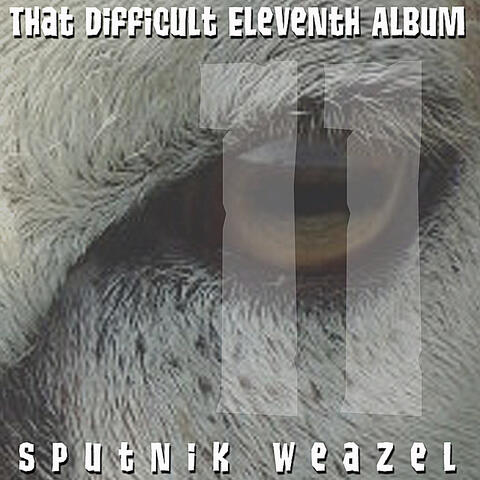 That Difficult Eleventh Album
