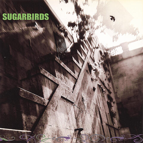 Sugarbirds
