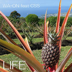 Life (Feat. CSS)