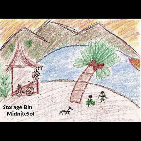 Storage Bin Tunes (Side B Songs)