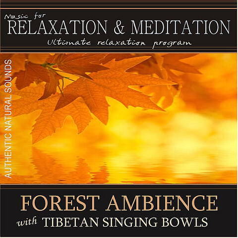 Forest Ambience With Tibetan Singing Bowls: Music for Relaxation and Meditation - Single
