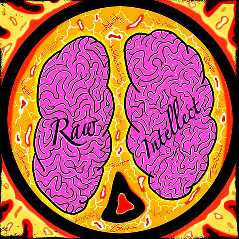 Raw Intellect/The Album