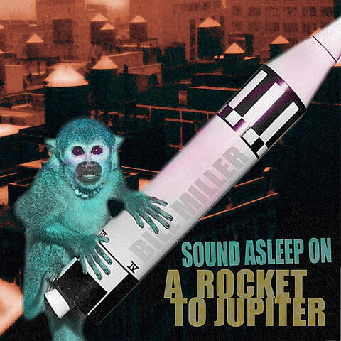 Sound Asleep On A Rocket To Jupiter