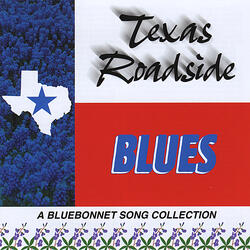 Bluebonnets