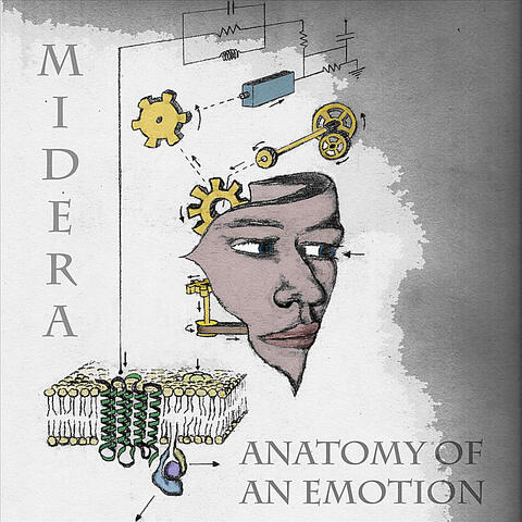 Anatomy of an Emotion