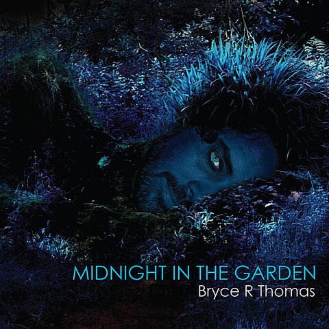 Midnight in the Garden