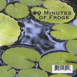 69 Minutes of Frogs
