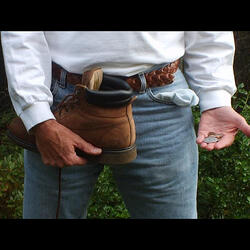 "The Hopey Changey Blues"