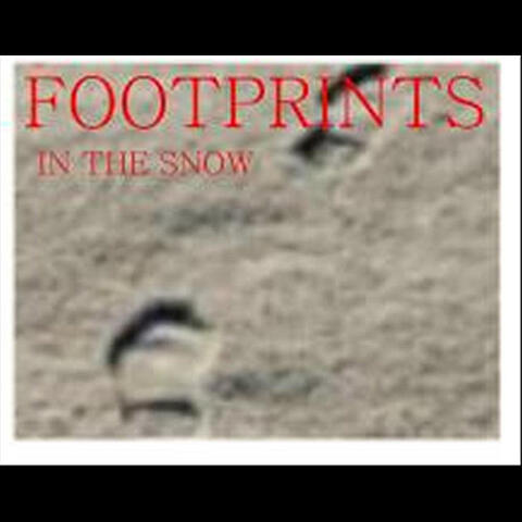 Footprints In the Snow
