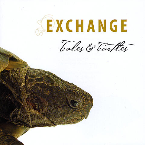 Tales & Turtles