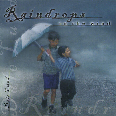 Raindrops in the Wind