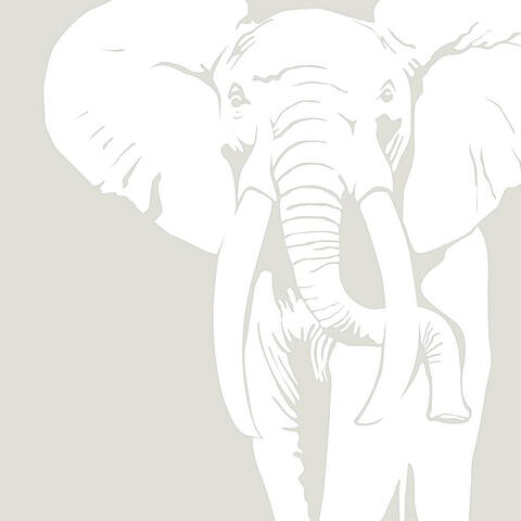 The White Elephant Album