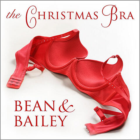 The Christmas Bra