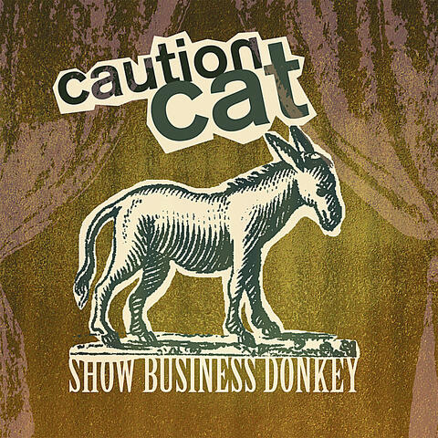 Caution Cat