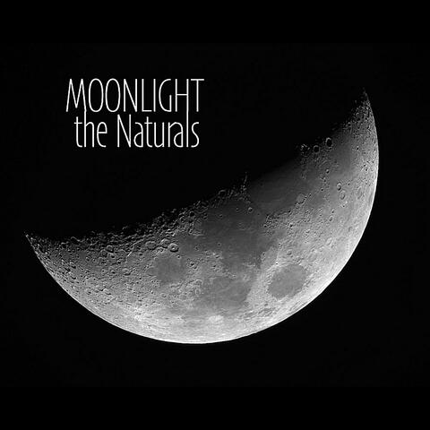 Moonlight