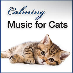 Restful Deep Sleep: Relaxing River Streams w/ Sleepy Cat Purr Sounds to De-Stress & Calm Down Cats