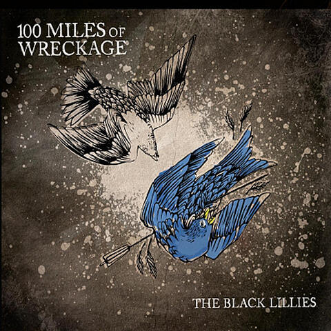100 Miles of Wreckage
