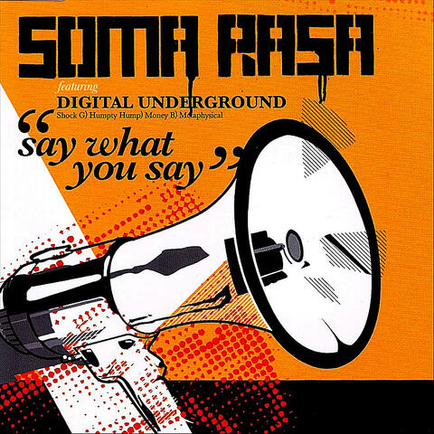 "Say What You Say" (feat. Digital Underground)