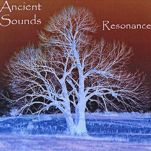 'Resonance'    Ancient Flutes, Didgeridoo, Ethnic Hand Drums, Vocals, Piano, Guitar ...