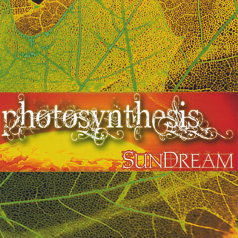 Photosynthesis