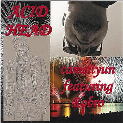 Acid Head (feat. Robro)