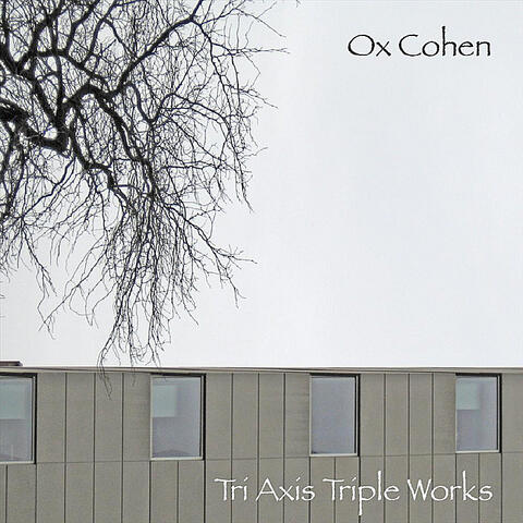 Tri Axis Triple Works