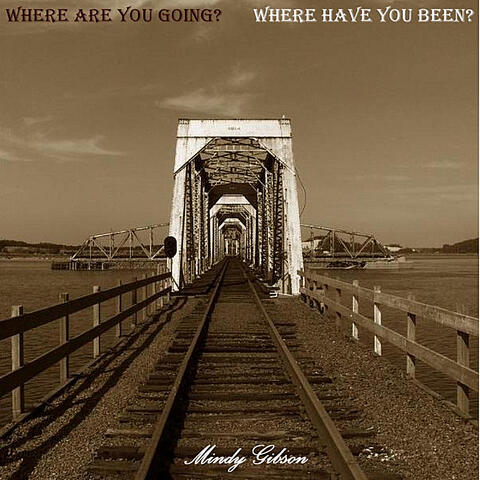 Where Are You Going? Where Have You Been?