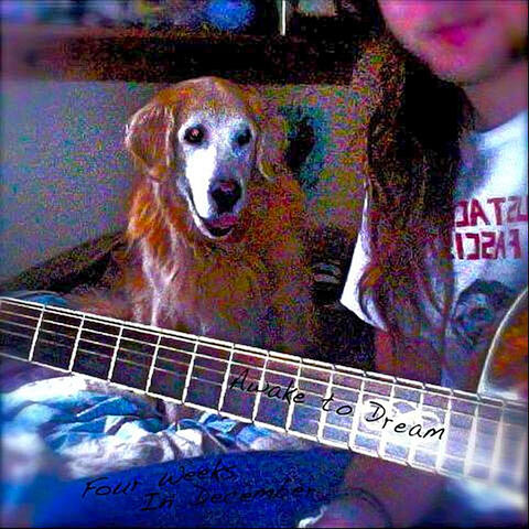 Four Weeks In December