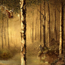 Cedar Dream Part I