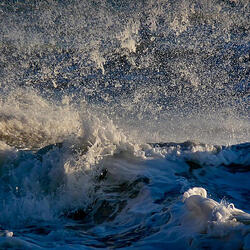 Days In The Wind