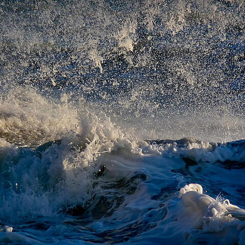 Days In The Wind