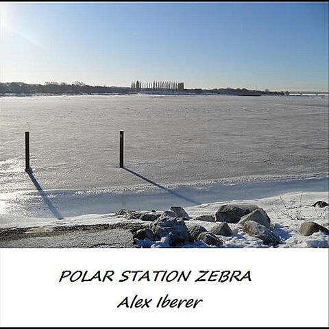 Polar Station Zebra
