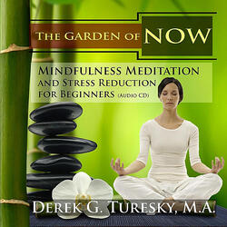 Introduction to Mindfulness