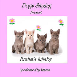 Brahms Lullaby (Cats Meow)