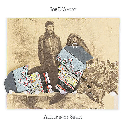 Asleep In My Shoes
