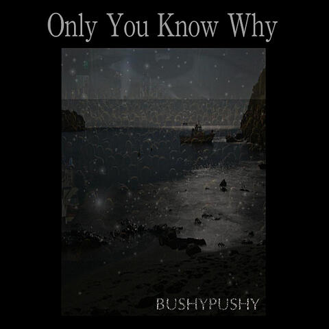 Only You Know Why