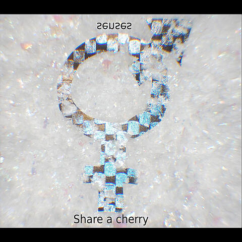 Senses