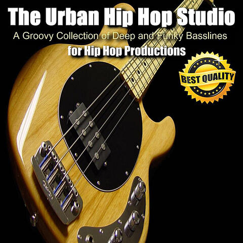 A Groovy Collection of Deep and Funky Basslines For Hip Hop Productions
