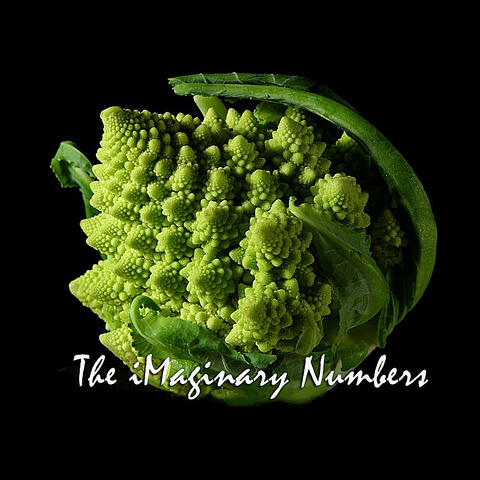 The Imaginary Numbers